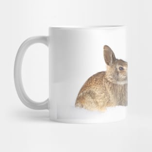 Eastern Cottontail Mug